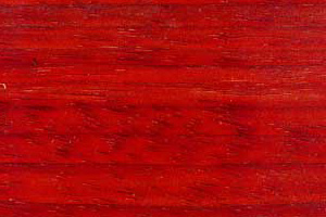 Padauk