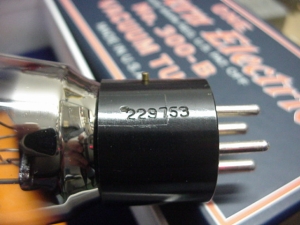 WE300B