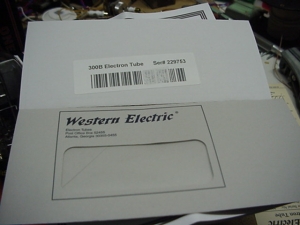 WE300B 