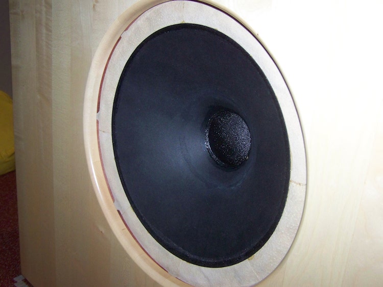 Cees Pel modified EMS speaker